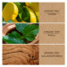 Pačuli & guajakové drevo - difuzér NATURE Heart & Home