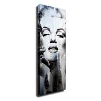 Nástenný obraz na plátne Marilyn, 30 × 80 cm