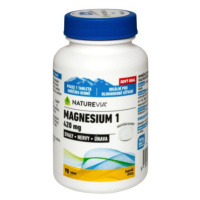 Swiss Naturevia Magnesium 1 420 mg 90 tbl