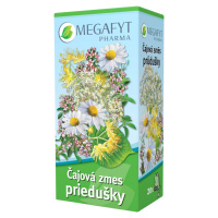 MEGAFYT Bylinková lekáreň čajová zmes priedušky 20 x 1.5 g