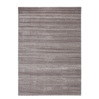 Kusový koberec Plus 8000 beige - 120x170 cm Ayyildiz koberce