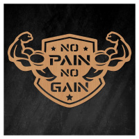 Motivačný obraz - No Pain No Gain, Buk