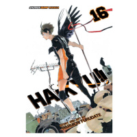 Viz Media Haikyu!! 16