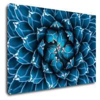 Impresi Obraz Modrý kvet - 60 x 40 cm