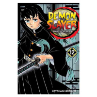 Viz Media Demon Slayer: Kimetsu no Yaiba 12