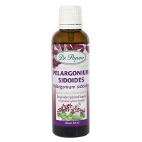DR. POPOV Pelargonium sidoides bylinné kvapky 50 ml