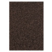 Kusový koberec Nasty 101154 Braun Rozmery koberca: 67x120