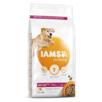 IAMS Dog Senior Large Chicken granule pre psov 1 kus, Hmotnosť balenia (g): 12 kg