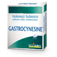 Gastrocynésine na úľavu od pálenia záhy 60 tbl