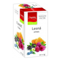 APOTHEKE Premium Selection čaj Lesná zmes 20 x 2 g