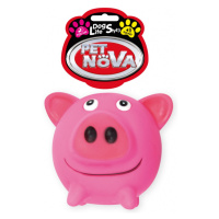 Petnova Hracky VIN PIG BALL