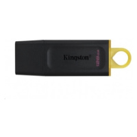 Kingston USB 3.2 Gen 1 DataTraveler Exodia 128 GB