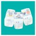 PAMPERS Nohavičky plienkové do vody Splashers vel.5 (10 ks) 12-17 kg