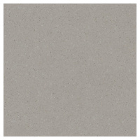 Dlažba Rako Compila taupe 45x45 cm mat DAA4H867.1