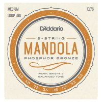 D'Addario EJ76