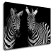 Impresi Obraz Dve zebry čiernobiele - 60 x 40 cm