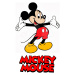 Detská spoločenská hra Mickey and Minnie Disney Conector junior Educa 40 kariet a 200 otázok a i