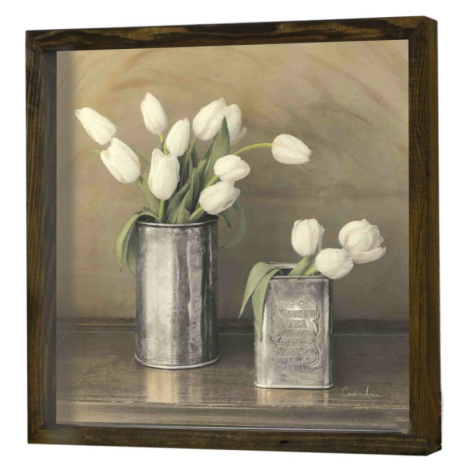 Nástenný obraz Tulip 34x34 cm béžová/biela