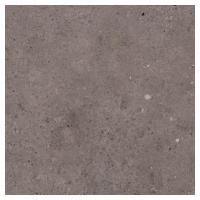 Biophilic dark grey  60x60 8,5MM GRIP