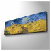 Reprodukcia obrazu Vincenta van Gogha 05 30 x 90 cm