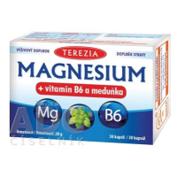 TEREZIA MAGNESIUM + vitamin B6 a meduňka