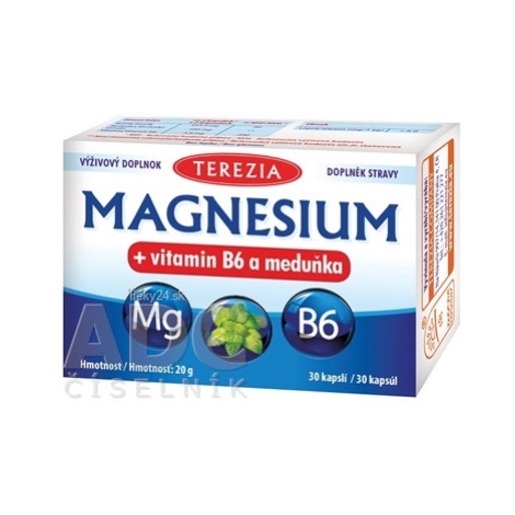 TEREZIA MAGNESIUM + vitamin B6 a meduňka