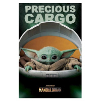 Pyramid International Star Wars The Mandalorian Precious Cargo Plagát 61 x 91,5 cm