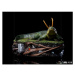 Soška Iron Studios Loki - Alligator Loki- Art Scale 1/10