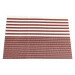 Plastové prestieranie v súprave 2 ks 30x45 cm Stripe – JAHU collections