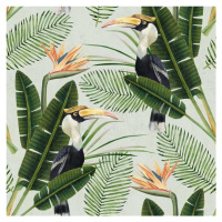 MINDTHEGAP Birds of Paradise - tapeta