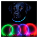 Reedog Full Light USB nabíjací svietiaci obojok pre psy a mačky - Modrá - M