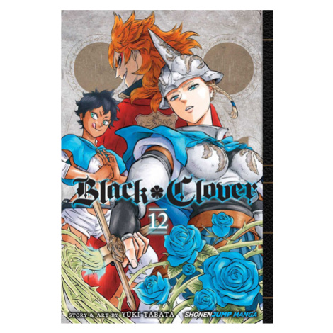 Viz Media Black Clover 12