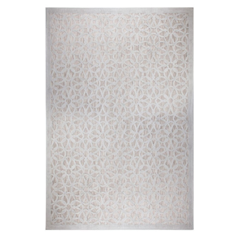 Sivý vonkajší koberec 150x80 cm Argento - Flair Rugs