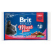 Kapsička Brit Premium Cat Meat plate mix v omáčke Multi 400g (4x100g)