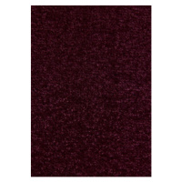 Kusový koberec Nasty 102368 Brombeer Violett Rozmery kobercov: 140x200