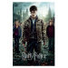 Plagát Harry Potter - Deathly Hallows Part 2 One Sheet (67)