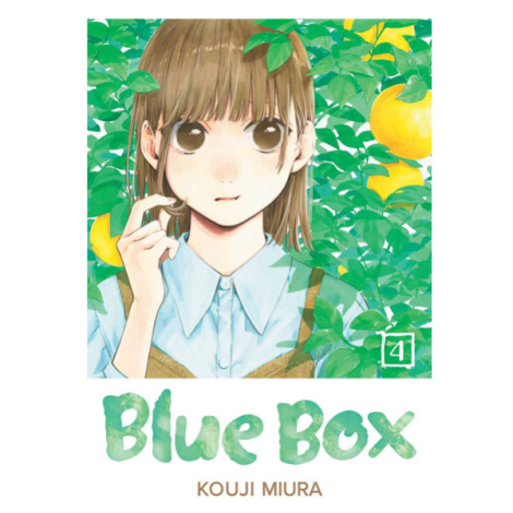 Viz Media Blue Box 4