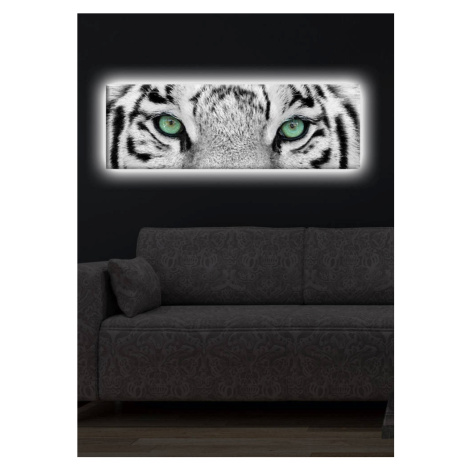 Obraz s led osvetlením White Tiger 90x30 cm