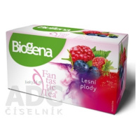 Biogena Fantastic Tea Lesné plody