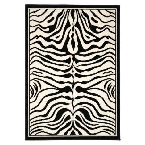 AKCE: Kusový koberec Zebra black/white - 120x170 cm Alfa Carpets