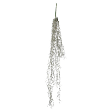 MICA Decorations Umelá rastlina Tillandsia závesná zelená 115 cm