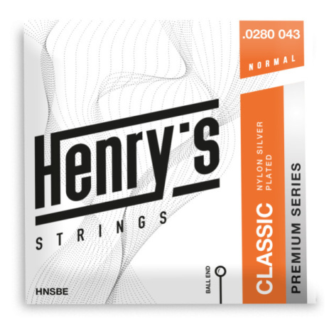 Henry's HNSBE, BALL END, Nylon Silver, normálny