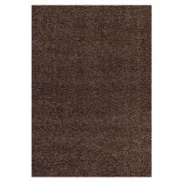 Kusový koberec Dream Shaggy 4000 brown Rozmery koberca: 65x130