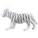 Mojo Tiger biely mláďa stojaci