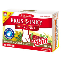 TEREZIA Bruslinky+bylinky Akut 10 kapsúl