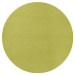 Kusový Koberec Fancy 103009 Grün - zelený kruh - 133x133 (průměr) kruh cm Hanse Home Collection 