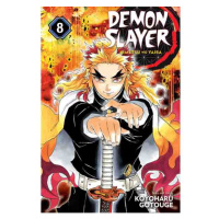 Viz Media Demon Slayer: Kimetsu no Yaiba 8