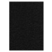 Kusový koberec Nasty 102055 Schwarz Rozmery kobercov: 80x150