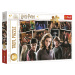 Trefl Puzzle 160 dielikov - Harry Potter a priatelia / Harry Potter and the Half-Blood P