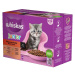 WHISKAS vrecko JUNIOR mixovaný výber v šťave 12x85g - 1 balenie